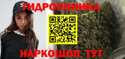 гидра Моздок