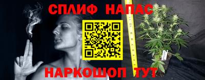 гидра Моздок