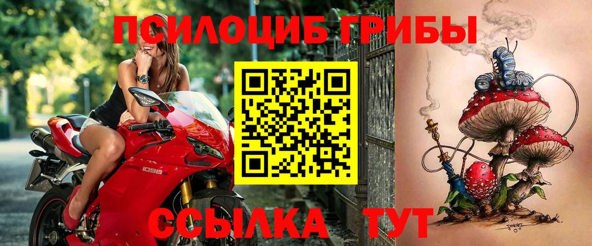 Галлюциногенные грибы прущие грибы  Вход с VPN  Топки 